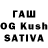 Галлюциногенные грибы Magic Shrooms Gaurav Dhawan