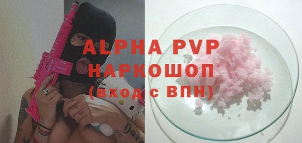 прущие грибы Снежногорск