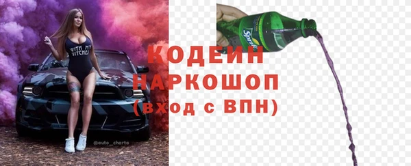 прущие грибы Снежногорск