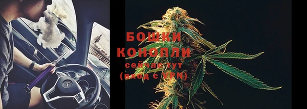 тгк Снежинск