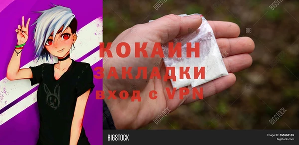 прущие грибы Снежногорск