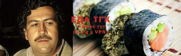 тгк Снежинск