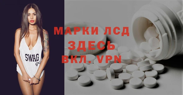 прущие грибы Снежногорск