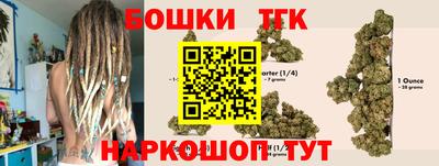 хмурый Абакан