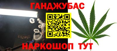 хмурый Абакан
