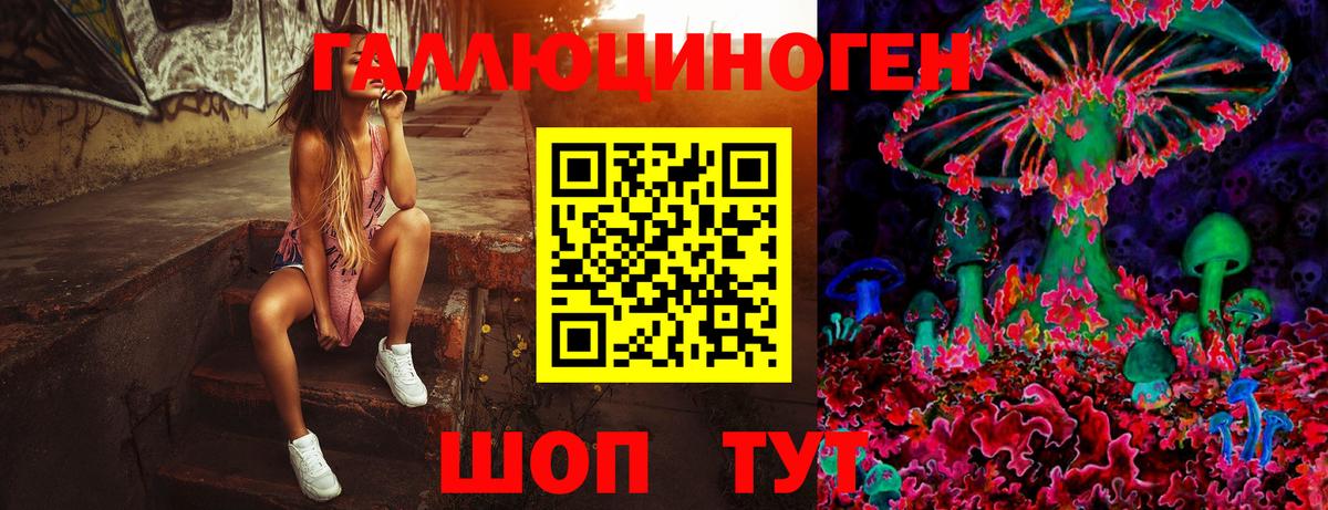 Галлюциногенные грибы Psilocybine cubensis Алексин