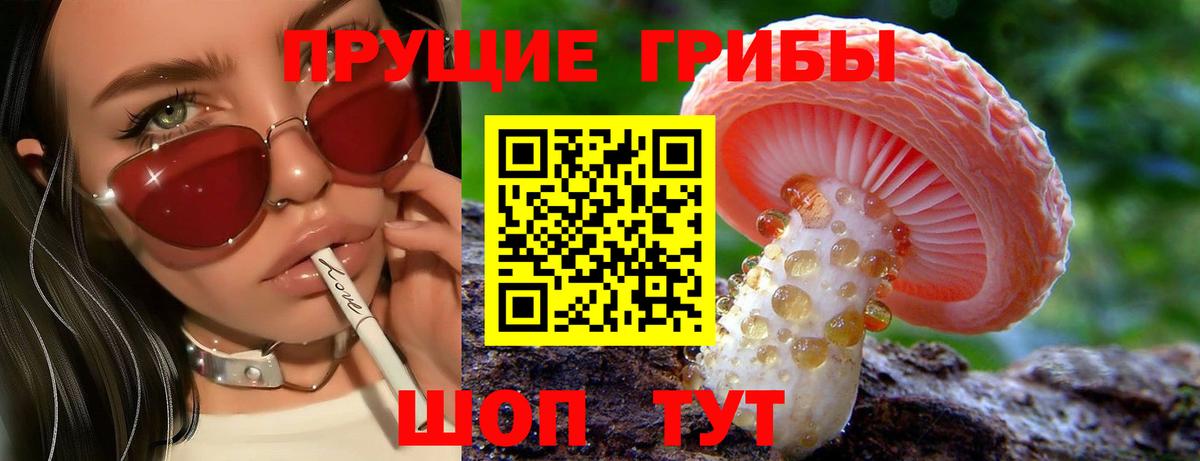 Алексин  Псилоцибиновые грибы прущие грибы  Вход с VPN 