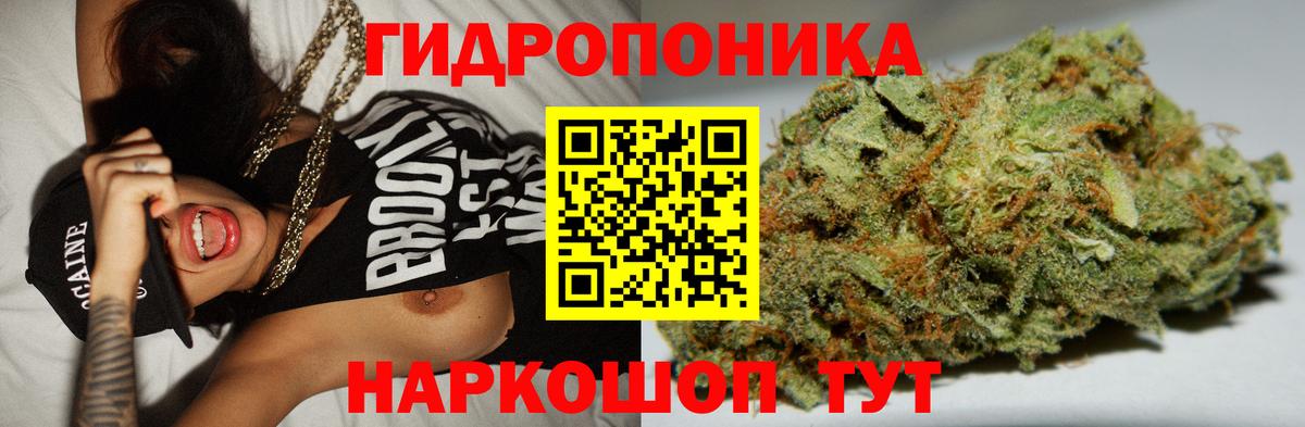 Бошки марихуана гибрид  Вход с VPN  Марихуана марихуана  Алексин  Канабис план 